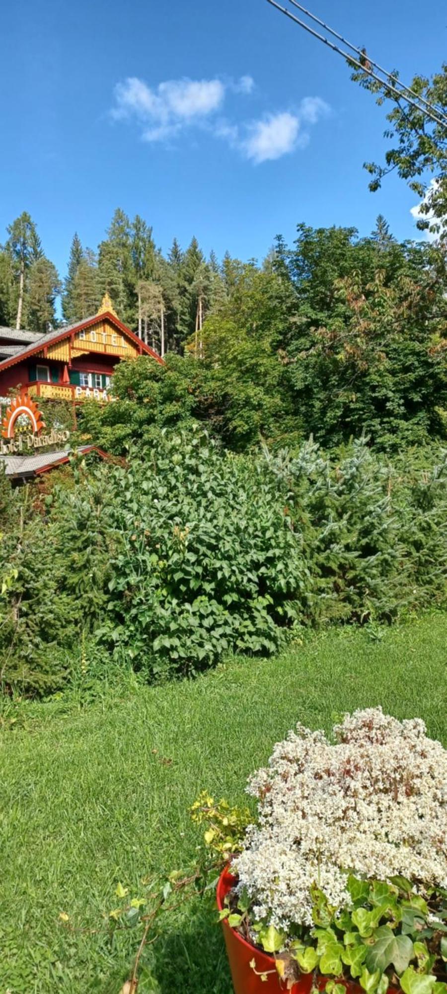 Parkhotel Sole Paradiso San Candido Exterior photo